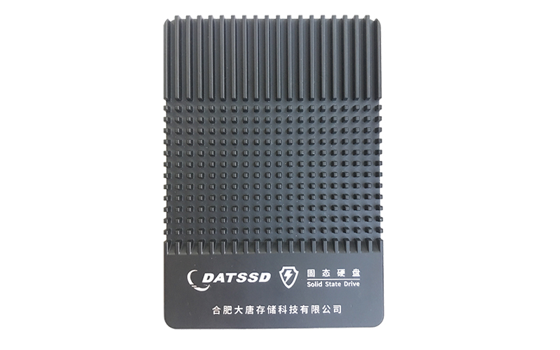DTS510P(2.5＂ U.2 NVMe SSD)